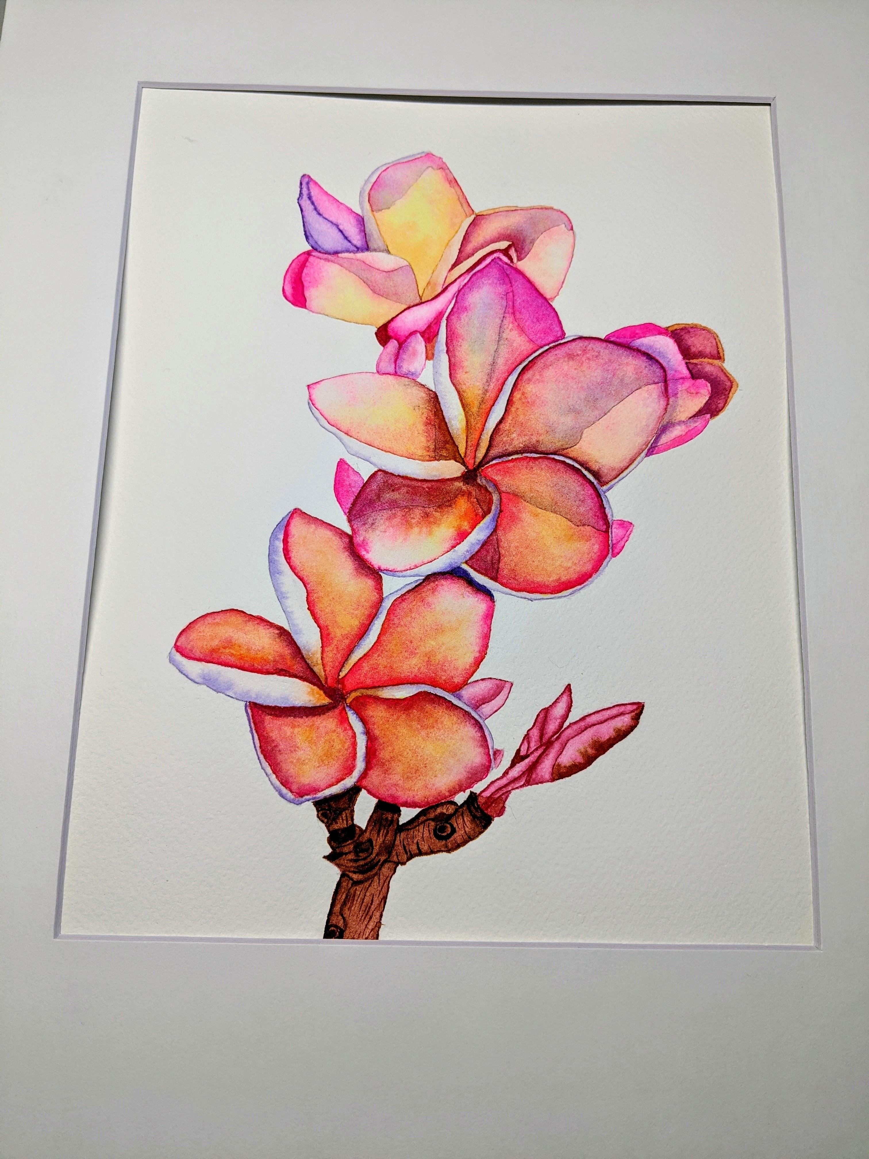 Plumeria - student project