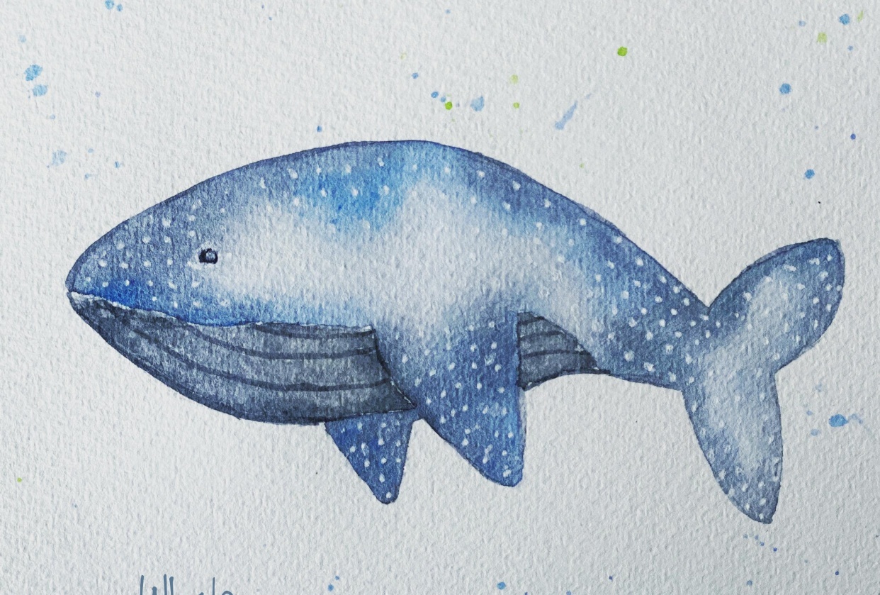 Whimsical Whale Shark - student project