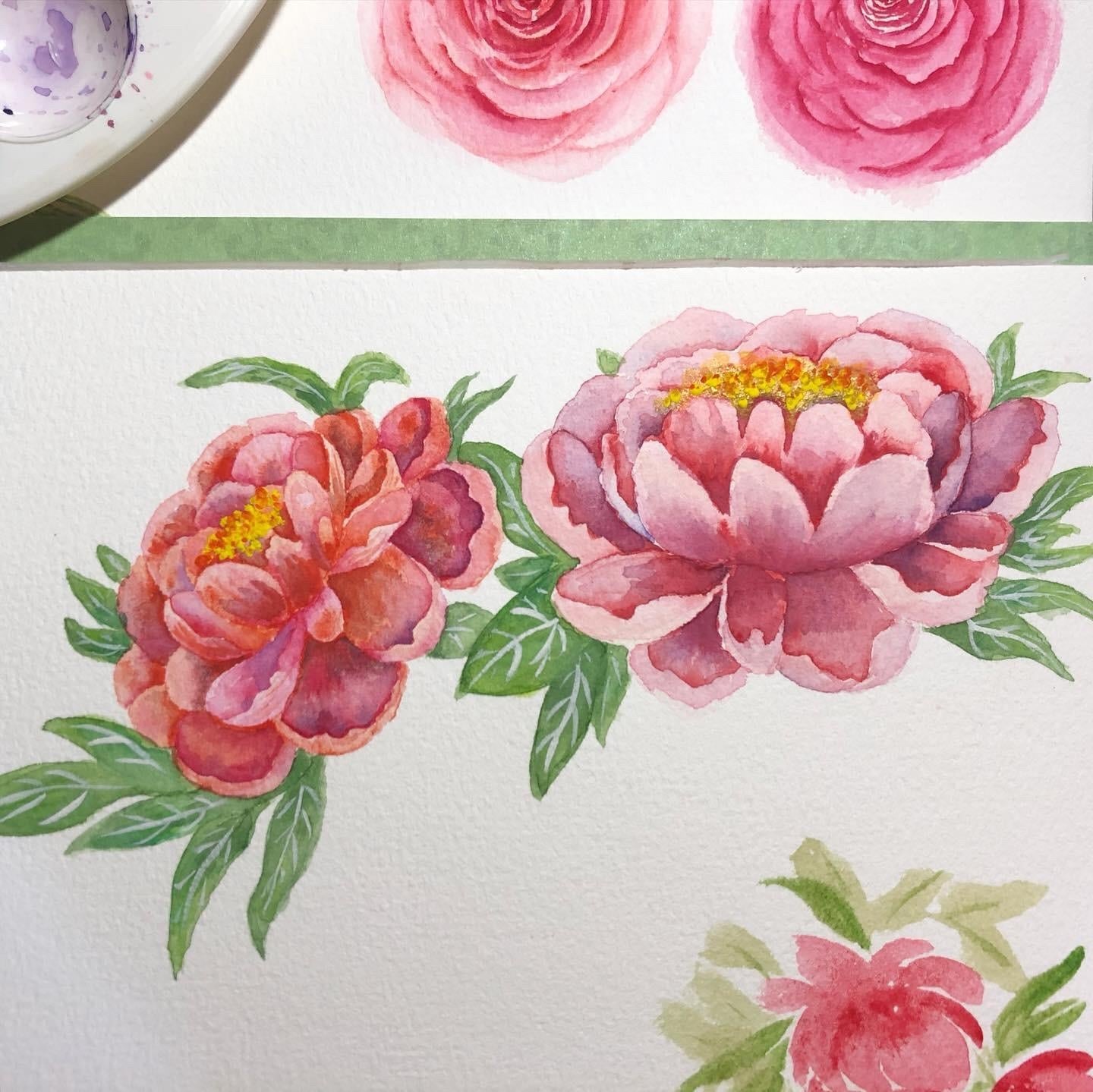 Peonies - student project