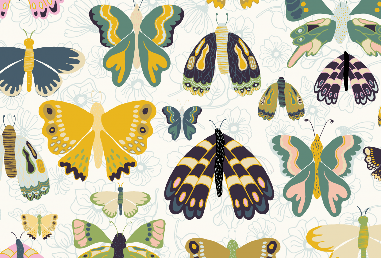 Butterflies and Moths by Maribel - student project