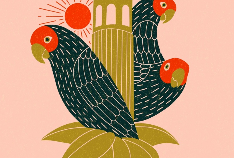 Parrots of Telegraph Hill