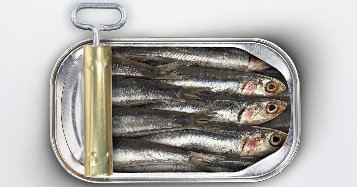 Sardines...