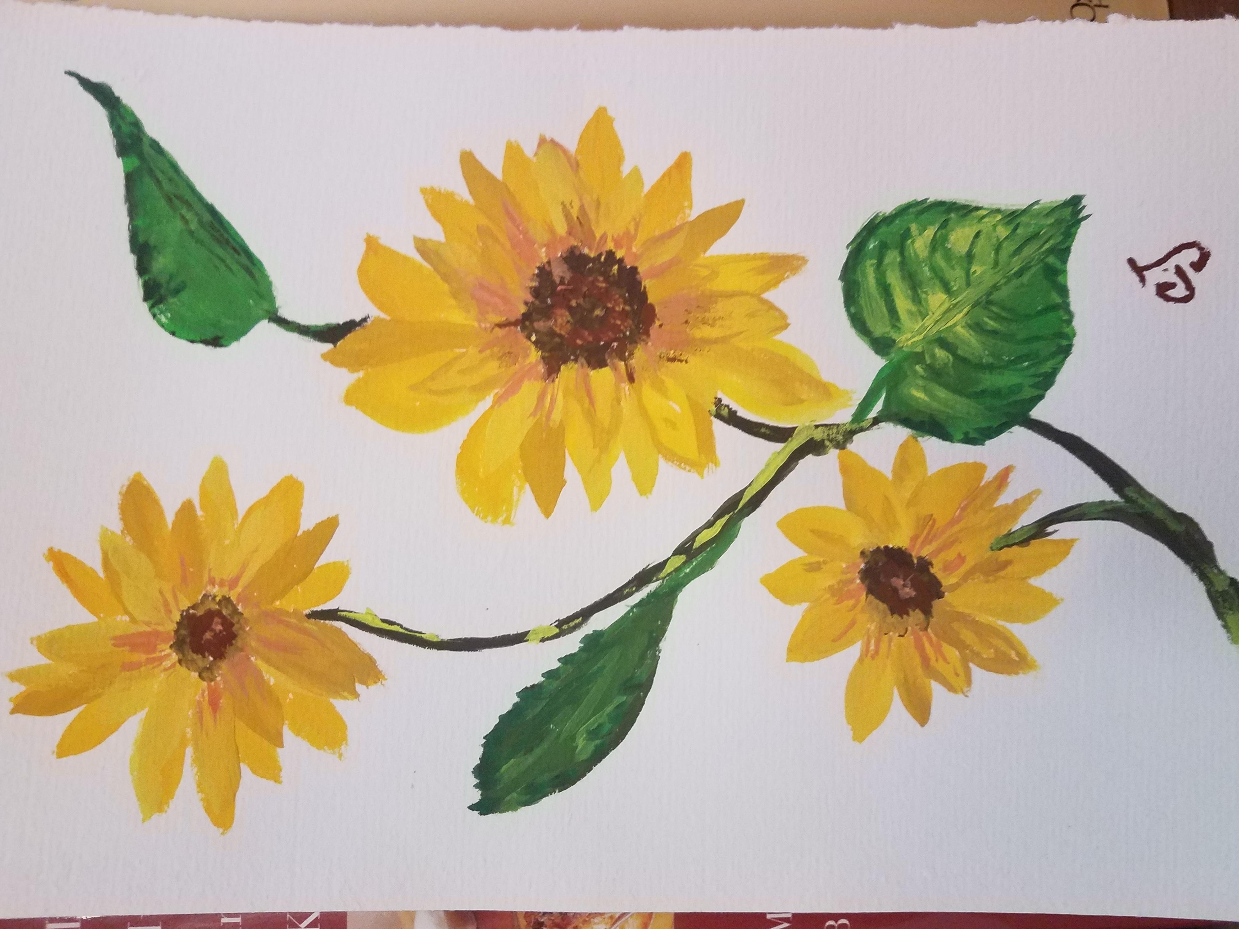 sunflower - student project