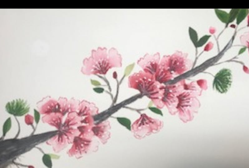 Cherry blossoms