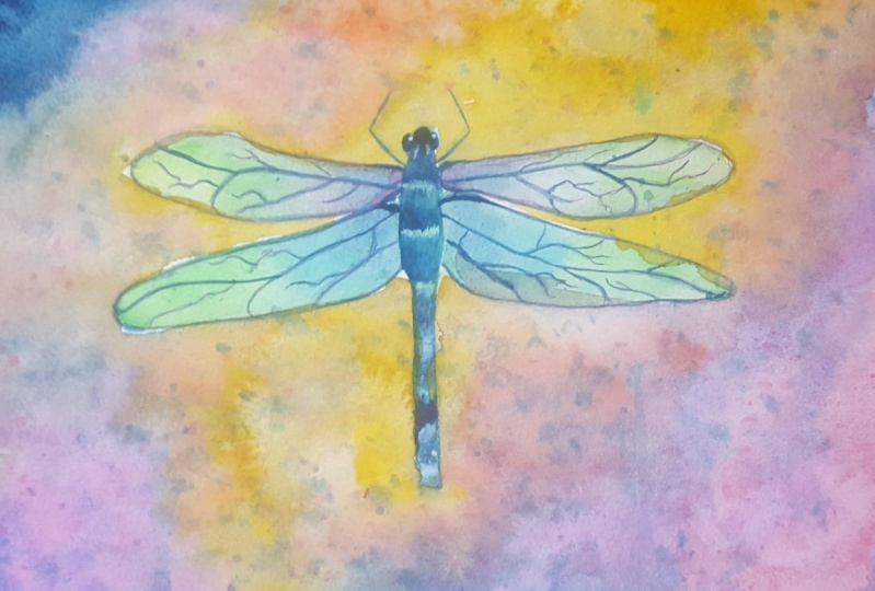 Dragonfly on a sky