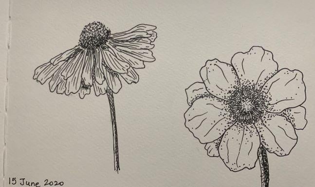 Lesson - student project
