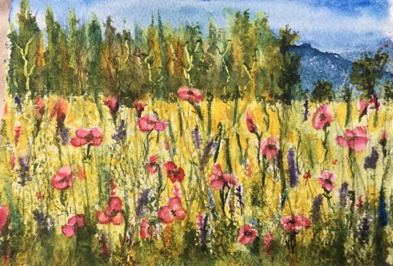 field of flowers