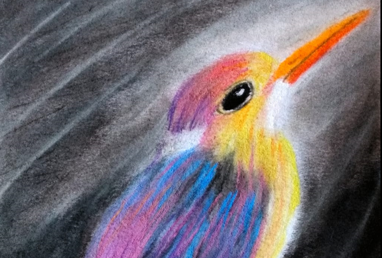 Bird - student project