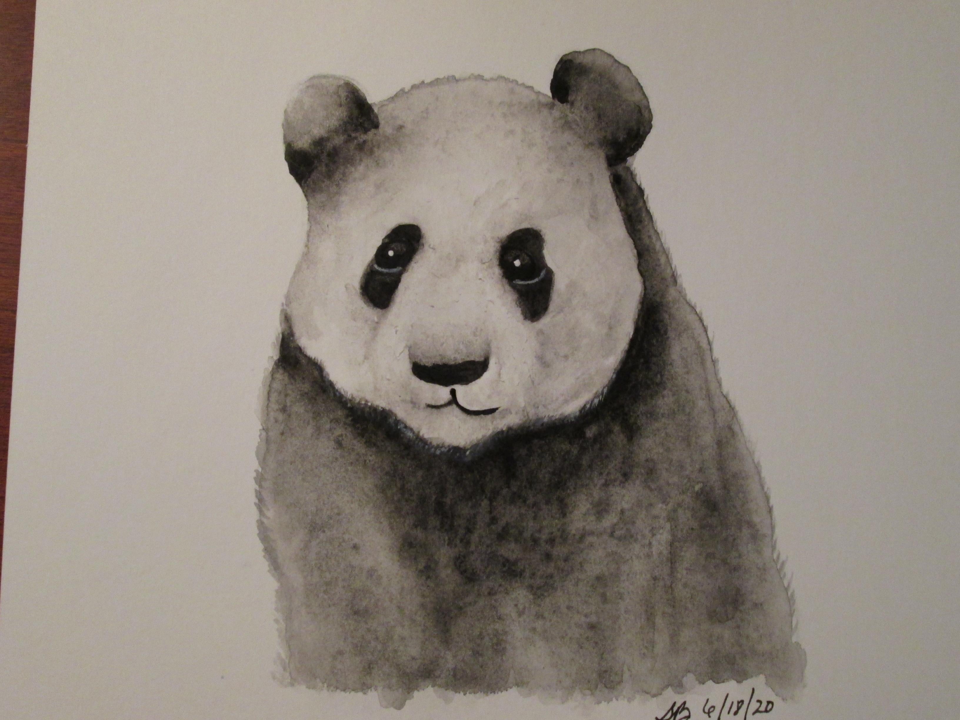 Panda with Jane Davies - student project