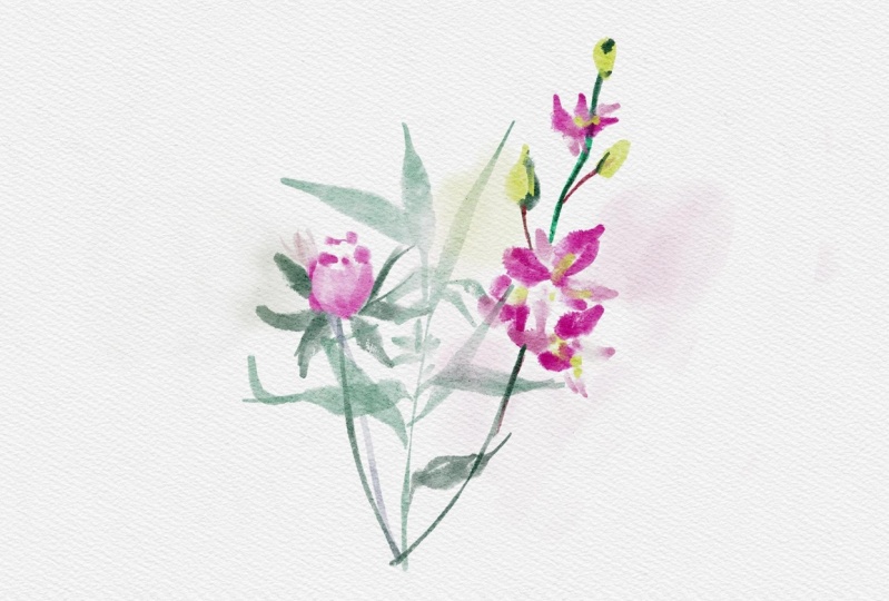 My lovely flower by procreate