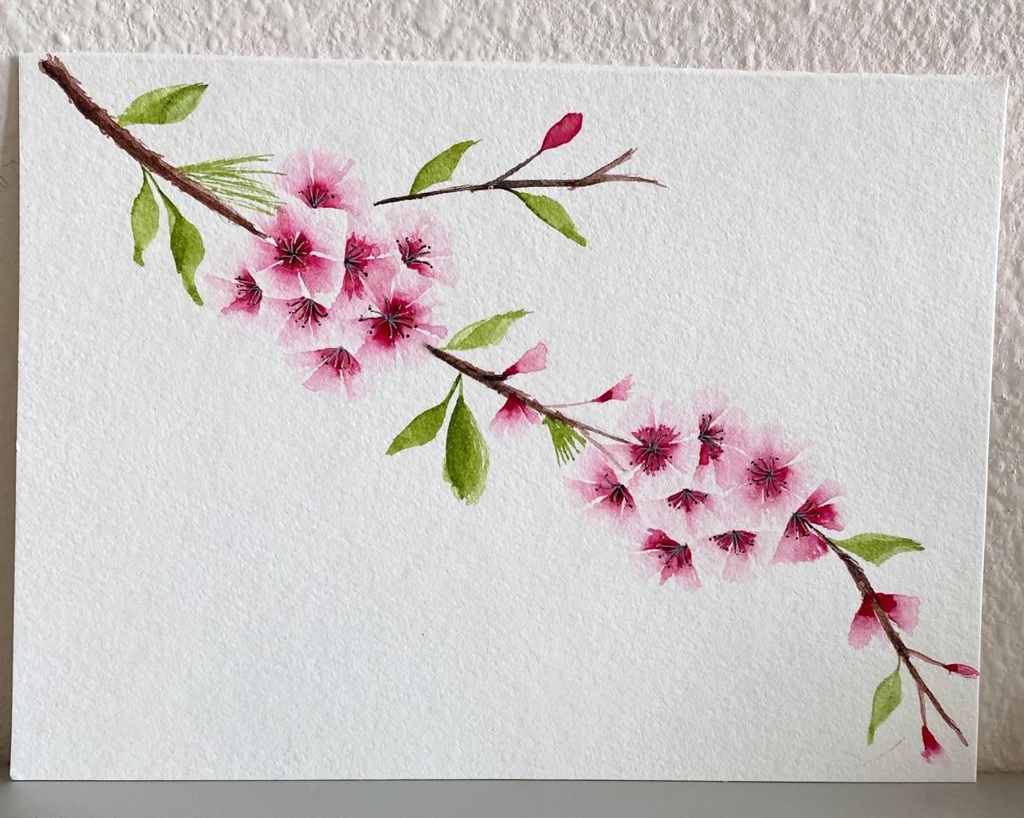 Cherry Blossoms - student project
