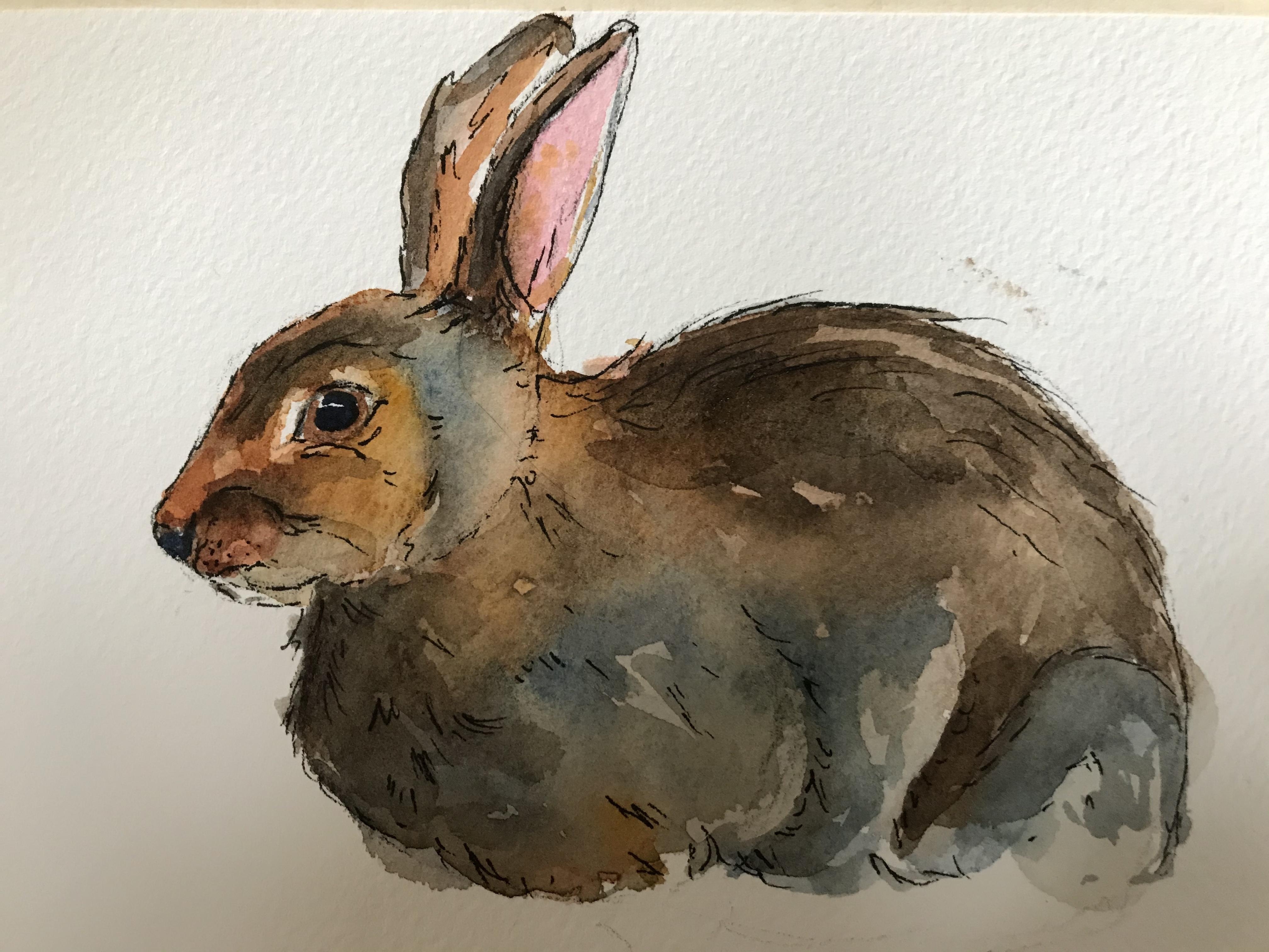 Chicken and Bunny