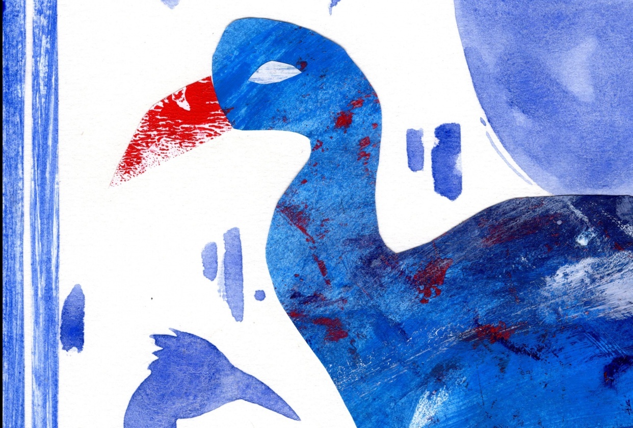 Collage Bird Portraits - student project