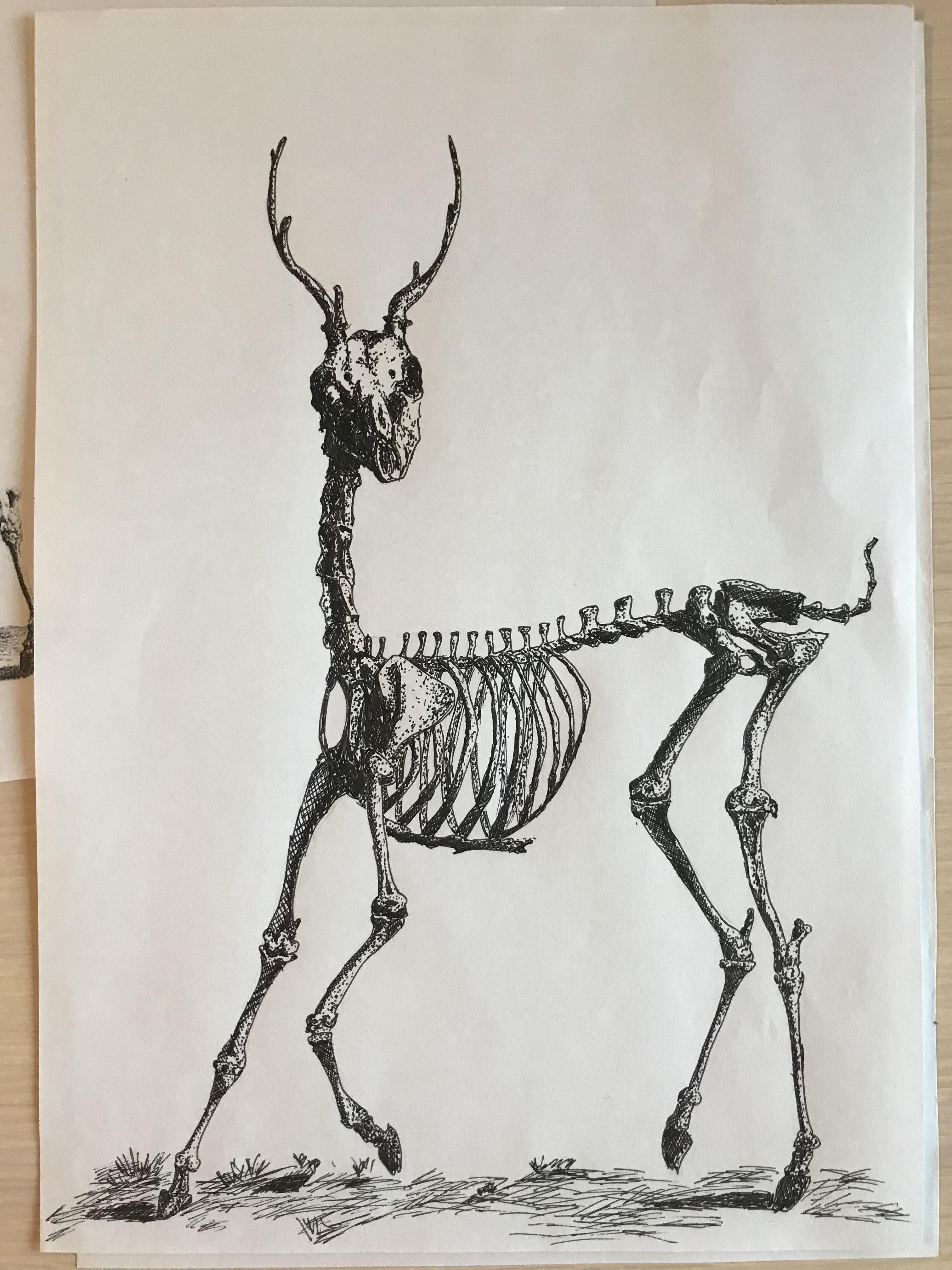 more-projects-from-class-img