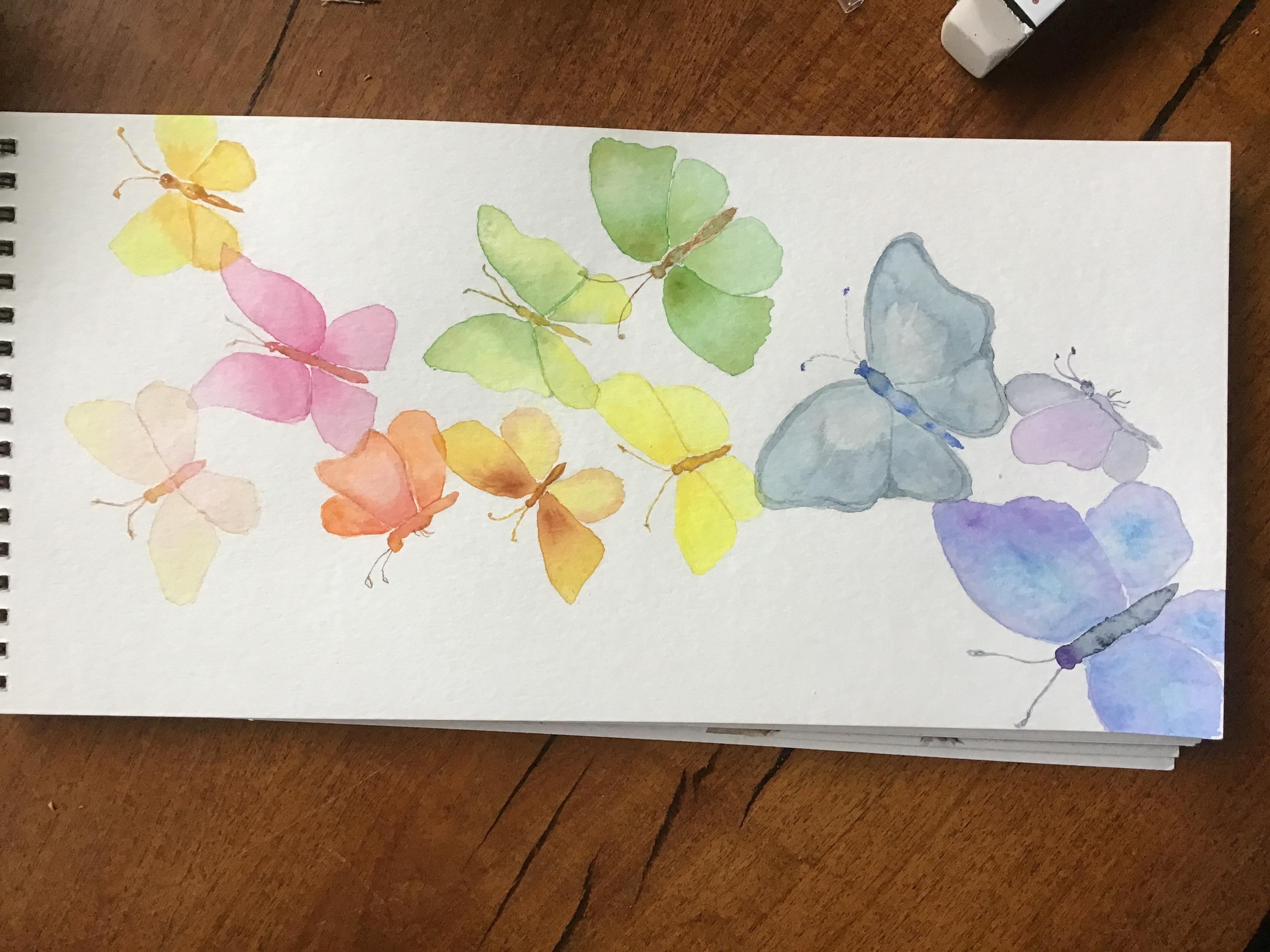 Butterfly wash - student project