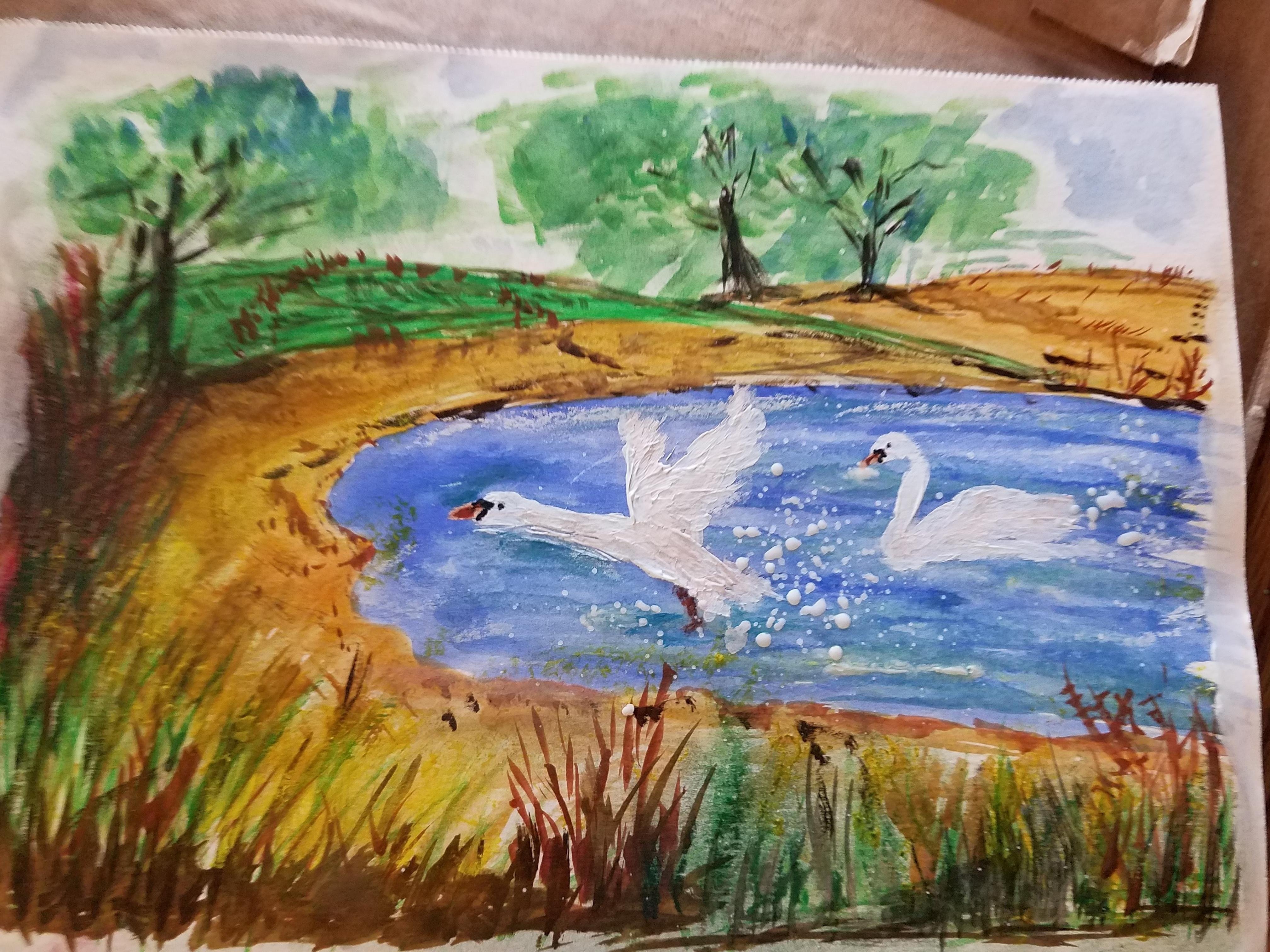 swan - student project
