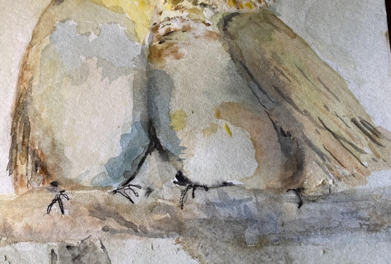Two Little Birds and second attempt