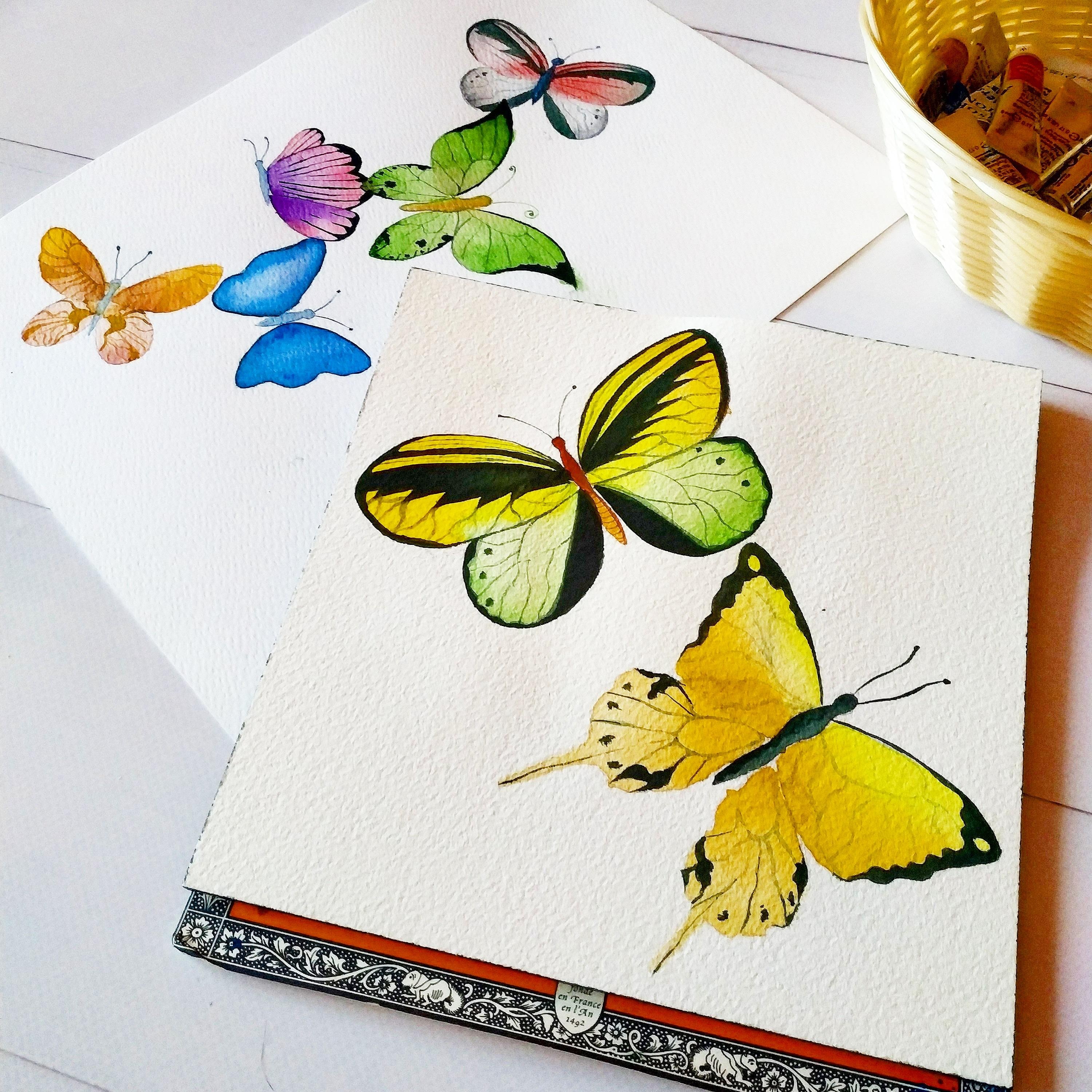 Magical Watercolor Butterflies - student project