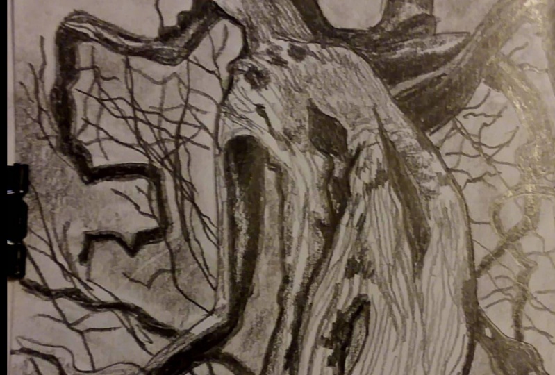Gnarled tree