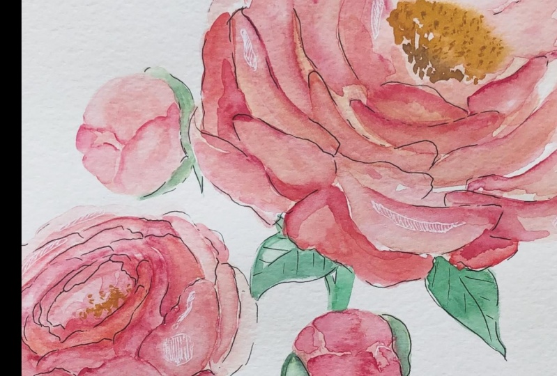 My first peonies