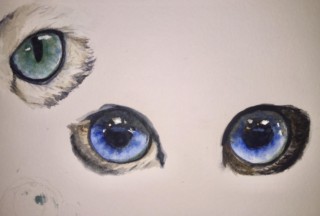 Eye, Eye, Captain! - student project