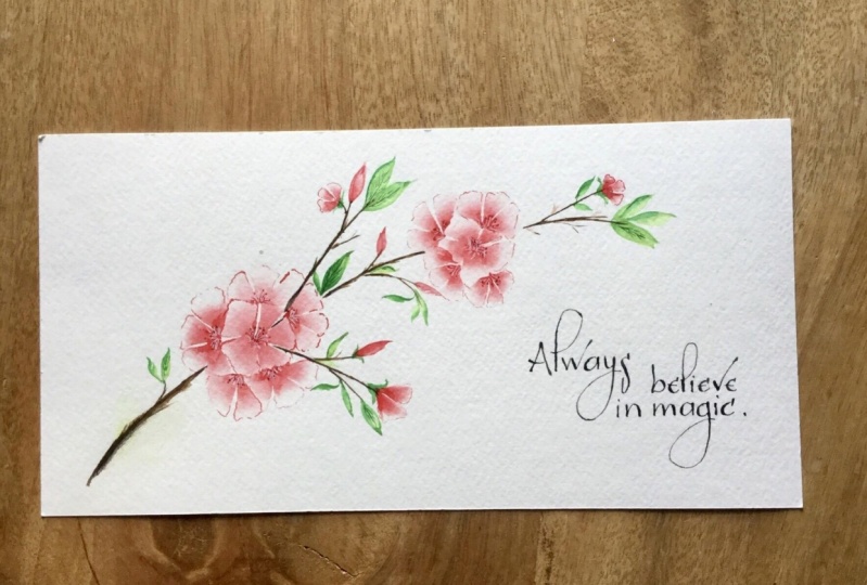 Cherry blossoms