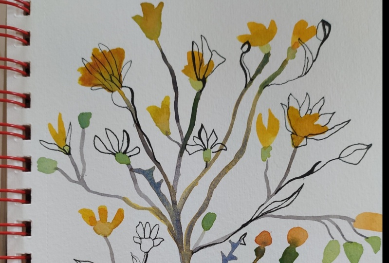 A feast of flowers
