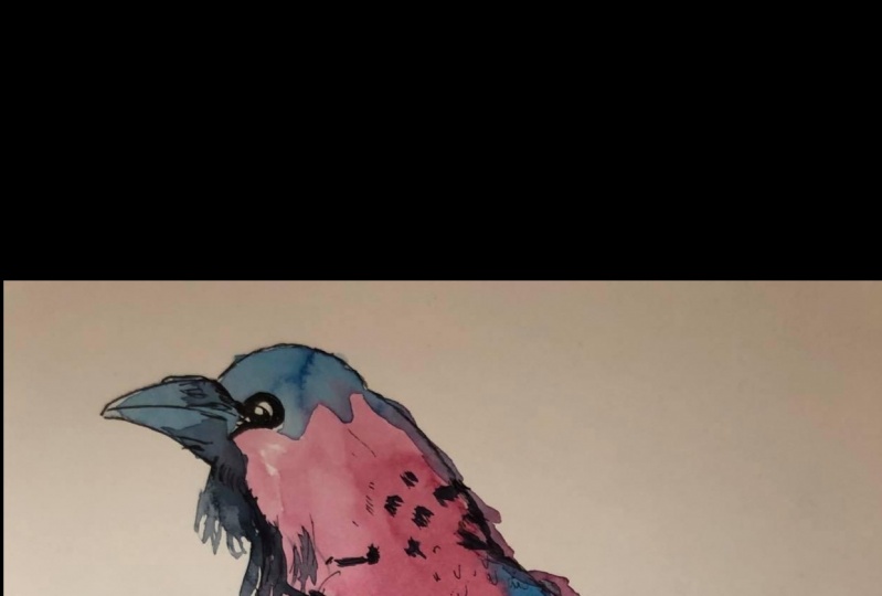 My favourite bird :-)