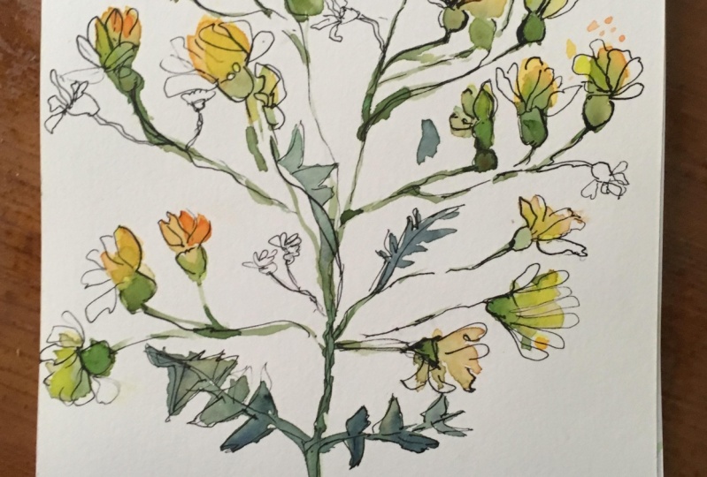 Live: Loose Florals with Ohn Mar Win