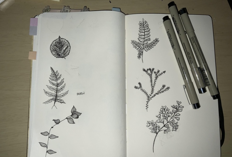 tropical leaves