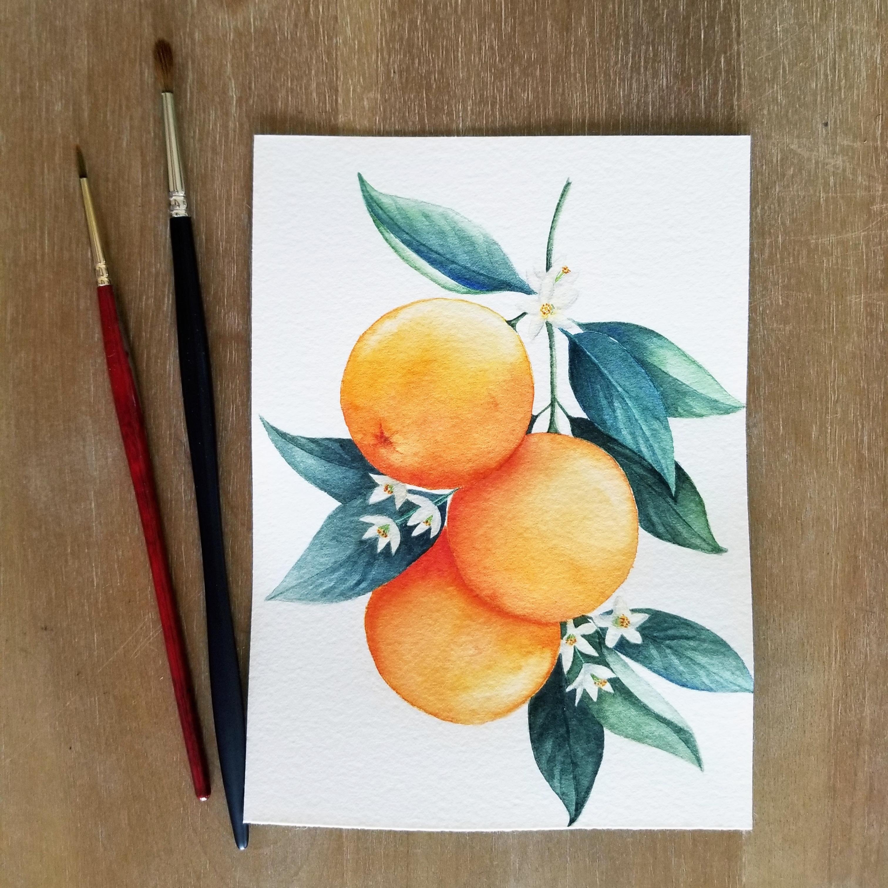 Complementary Oranges - student project