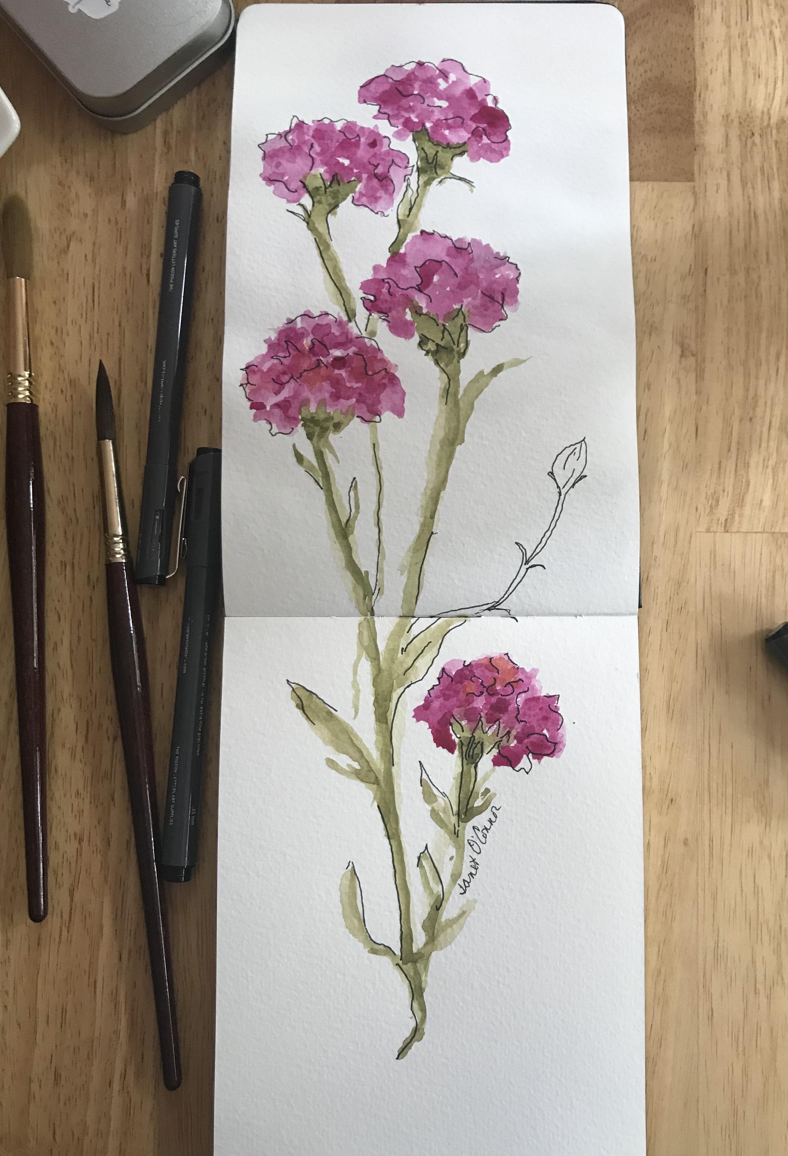 Watercolor Carnations and Ink - student project
