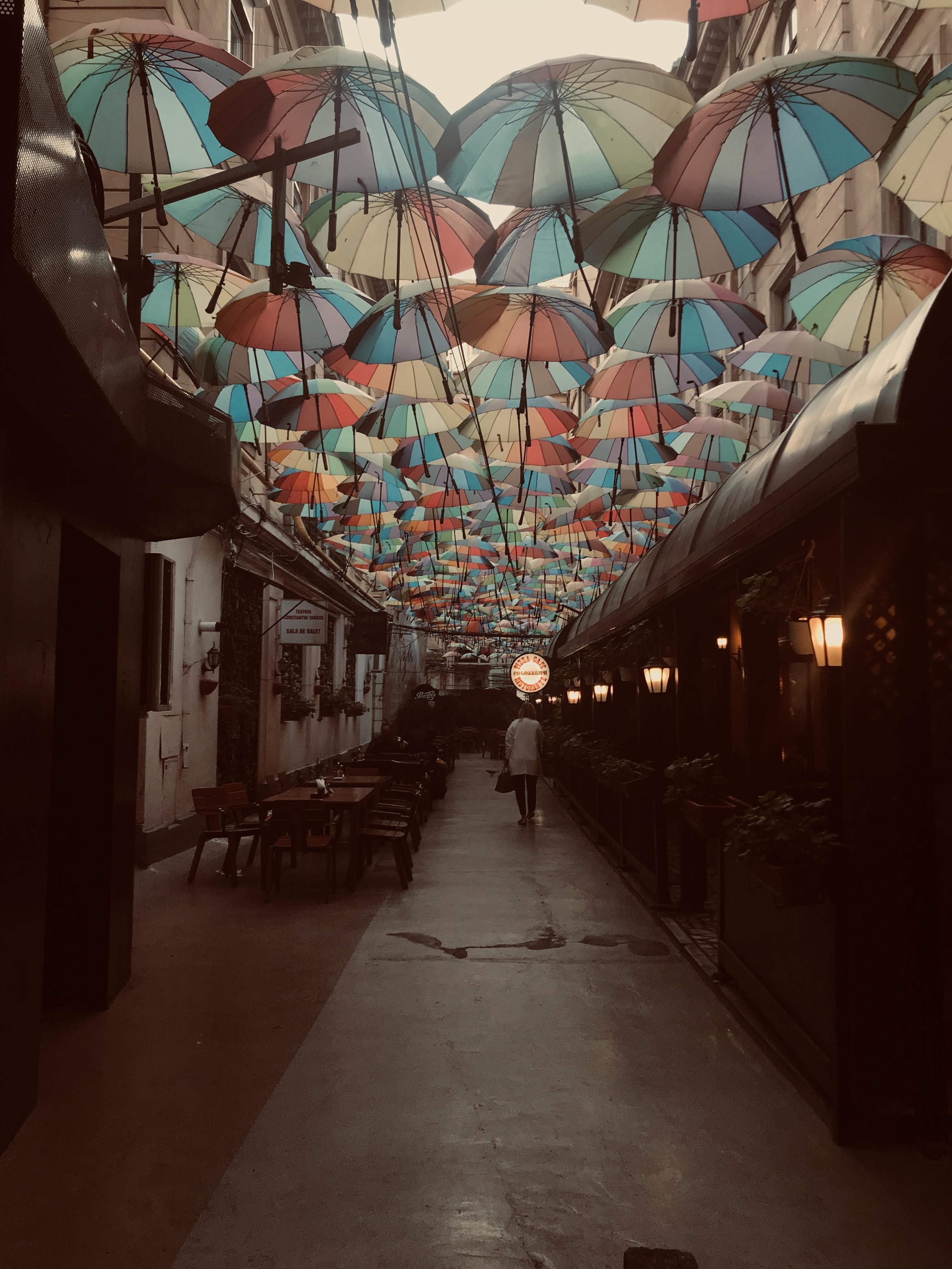 c - student project
