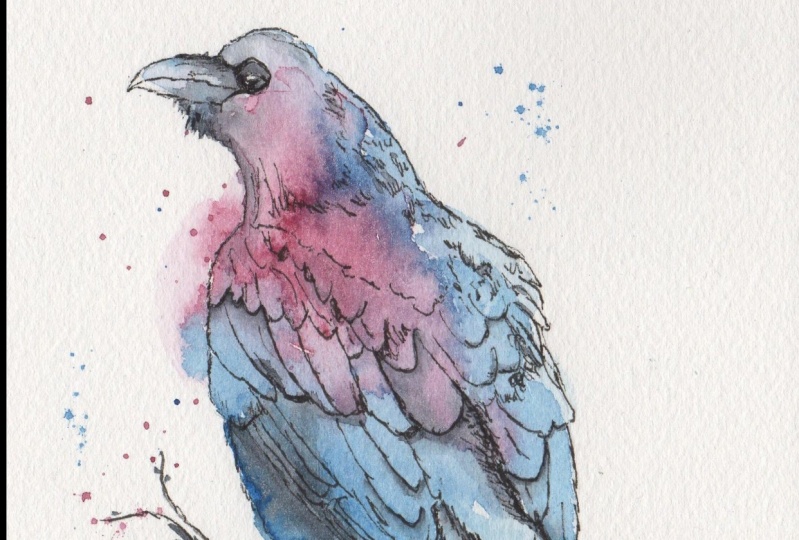 Colourful Raven