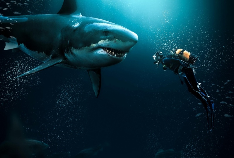 UNDERWATER MENACE