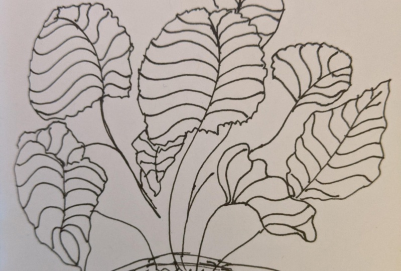 Line Leaves in Vase