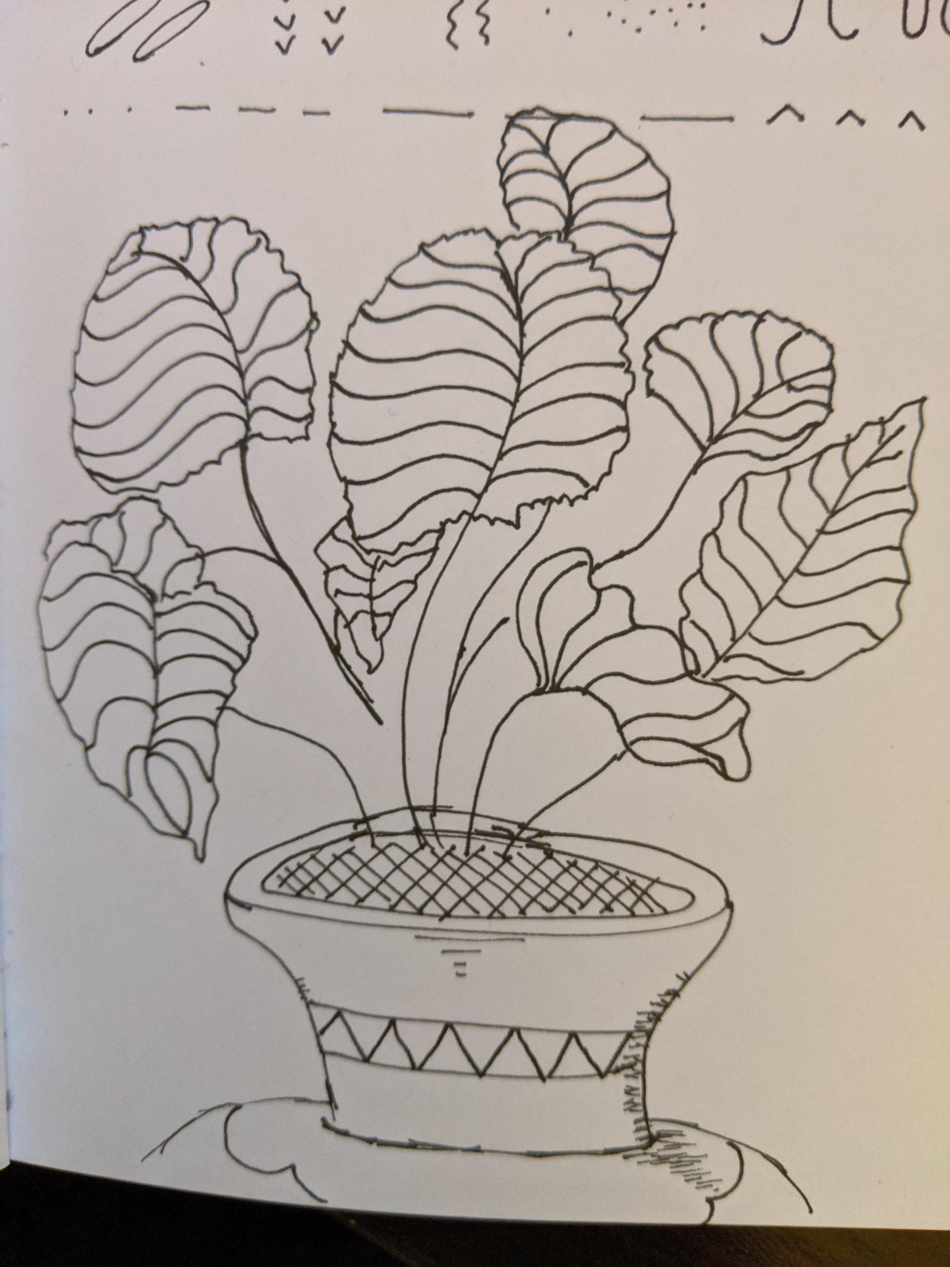 more-projects-from-class-img