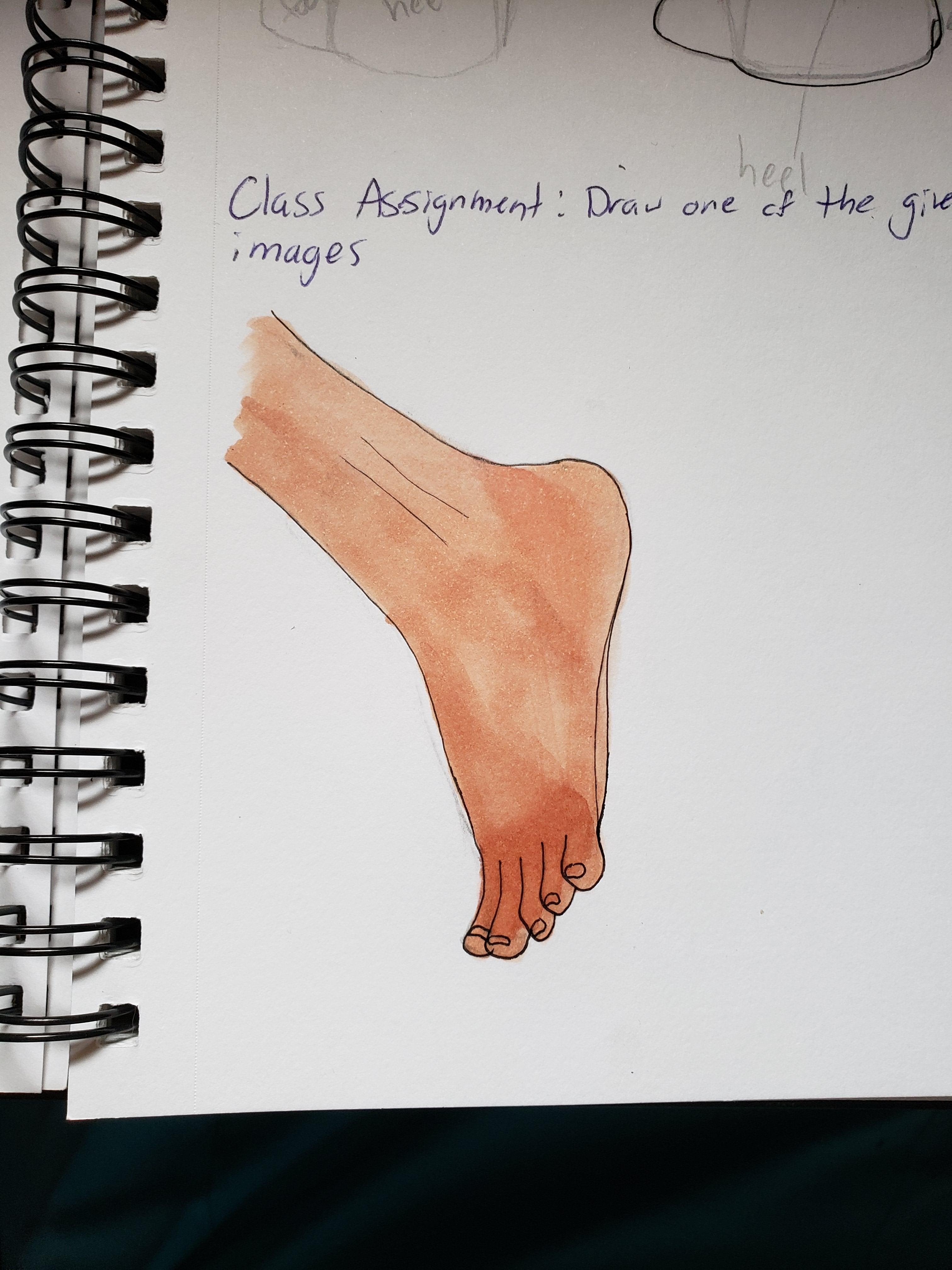 First Image - Micron Liners/Copic Sketch - student project