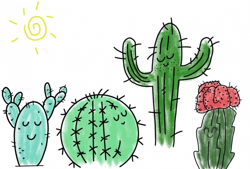cactus family
