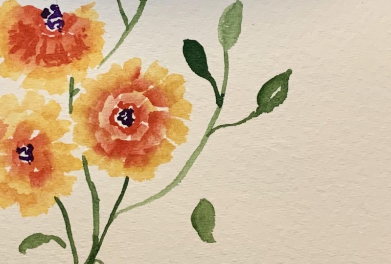 Marigold