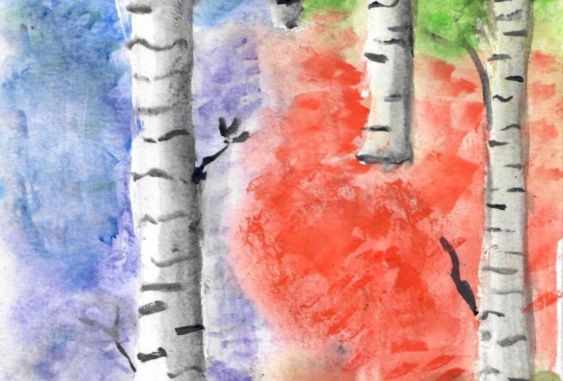 Okay Birch Trees