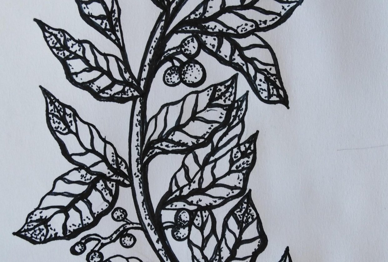 Leaves and Barries - student project
