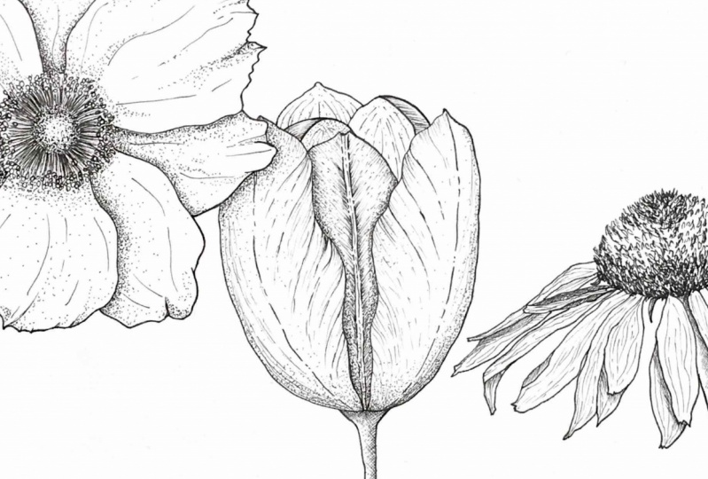 Flowers :)