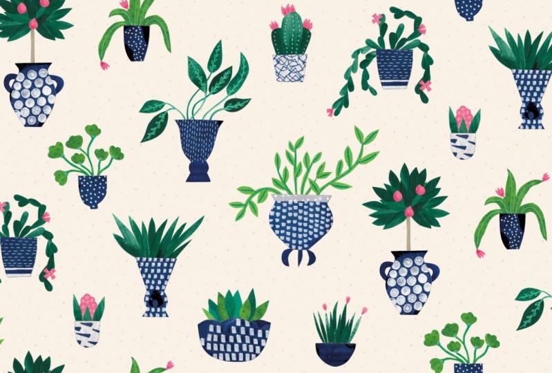 Houseplants