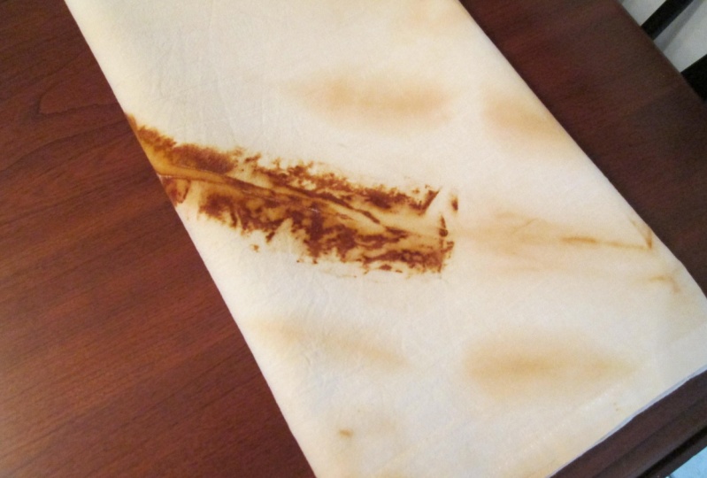Rust Dyed Tea Towel