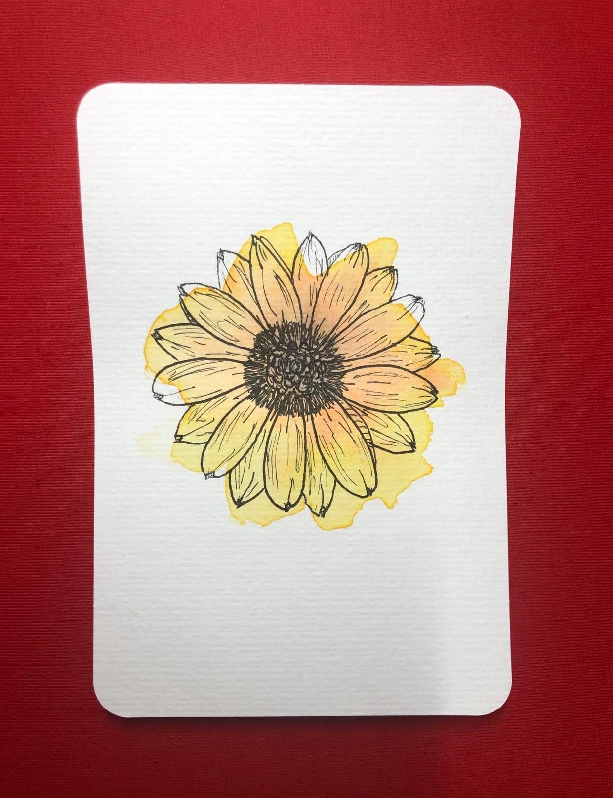Botanical Illustration: Finding Your Style with Wildflowers | Stevie  Biffen, PhD | Skillshare