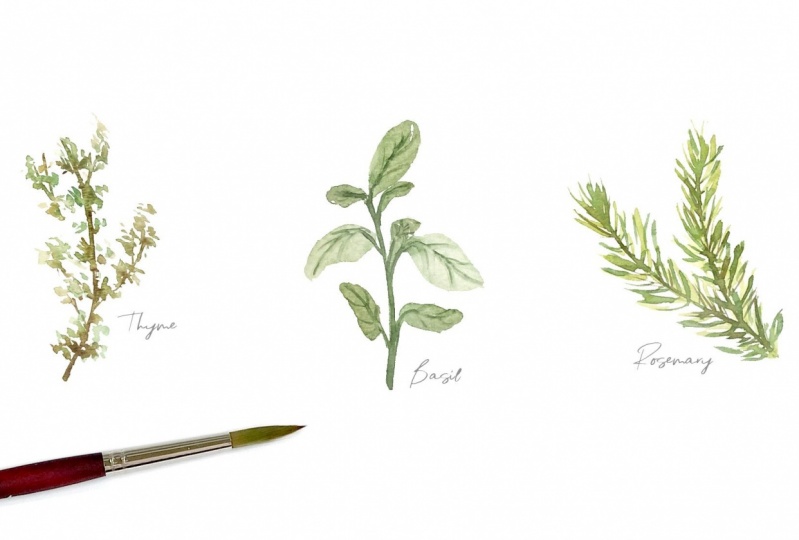My Herb Sets - share your work :)