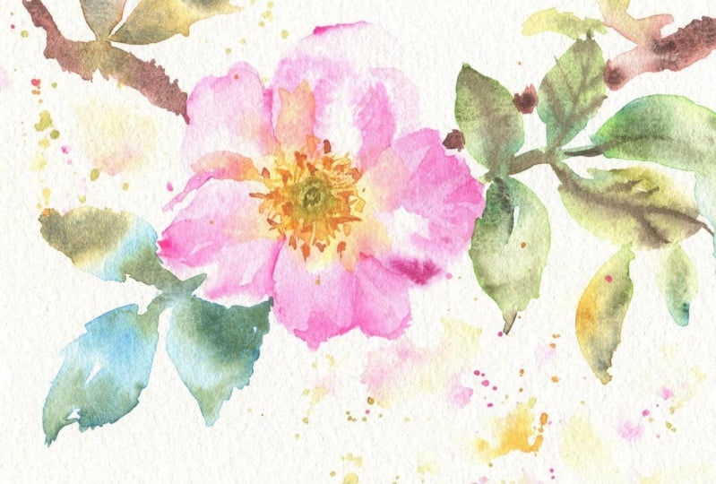 Wildflowers: Paint with Water!