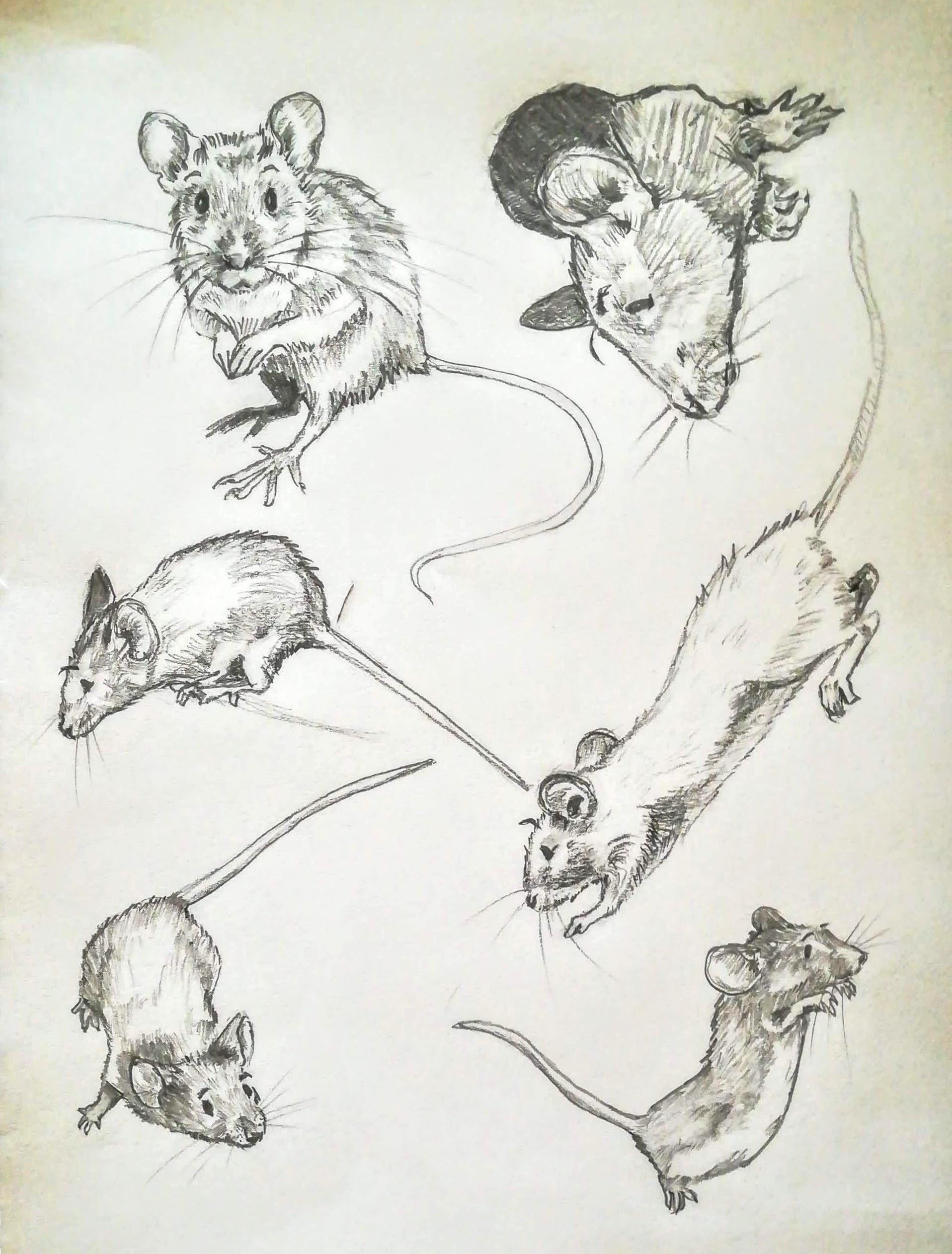 more-projects-from-class-img
