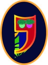 owl - student project